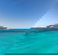 Rottnest Island Bayseeker Day Trip from Perth - Restaurant Gold Coast