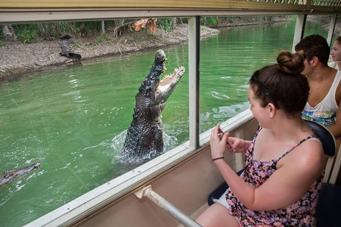 Hartley's Crocodile Adventures Day Trip From Cairns - Restaurant Gold Coast 3
