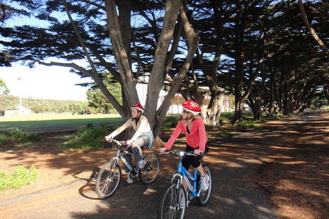 Self-Guided Point Nepean National Park Bike Hire - Restaurant Gold Coast 2