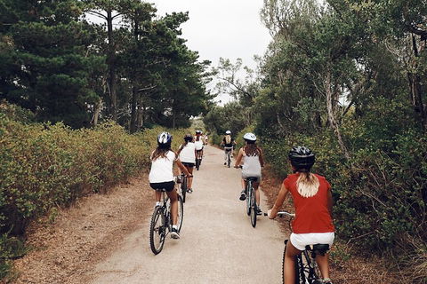 Self-Guided Point Nepean National Park Bike Hire - Restaurant Gold Coast 3