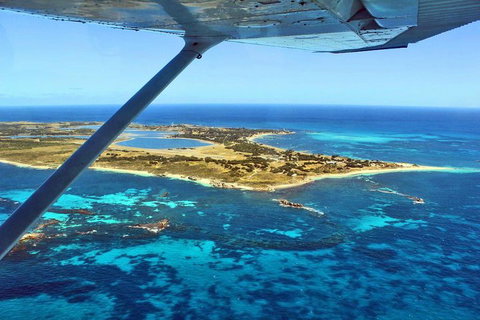 Wave Rock & Rottnest Island - Air & Ground Tour - Restaurant Gold Coast 1