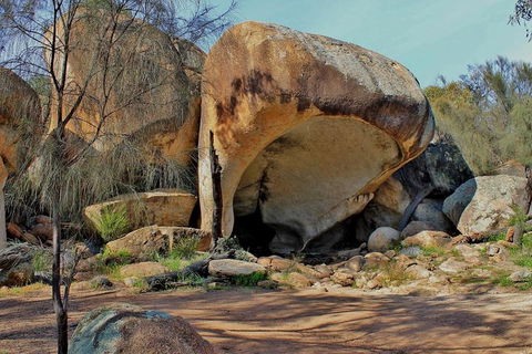 Wave Rock Half Day Air & Ground Tour - Restaurant Gold Coast 1