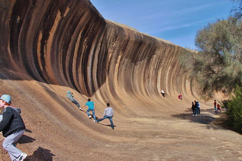 Wave Rock Half Day Air & Ground Tour - Restaurant Gold Coast 2