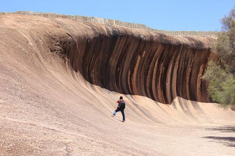 Wave Rock Half Day Air & Ground Tour - Restaurant Gold Coast 3