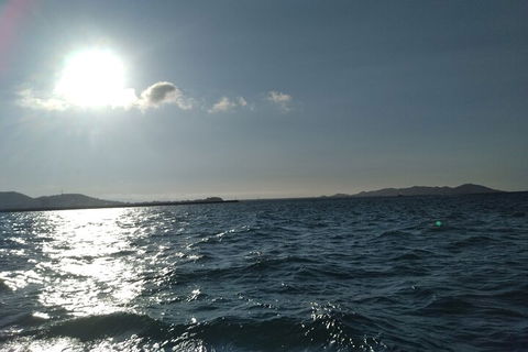 Townsville Small Group Early Morning Sailing Cruise Boat Tour Charter Hire - Restaurant Gold Coast 4