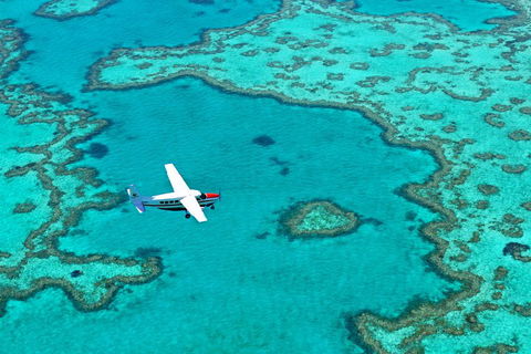 Fly & Sail Package (With Providence) - Restaurant Gold Coast 4