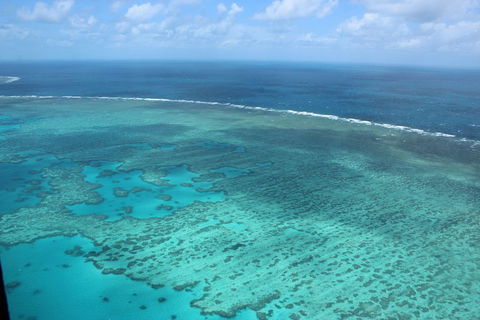 Reef And Island Scenic Flight From Airlie Beach - Restaurant Gold Coast 1