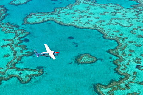 Reef And Island Scenic Flight From Airlie Beach - Restaurant Gold Coast 4