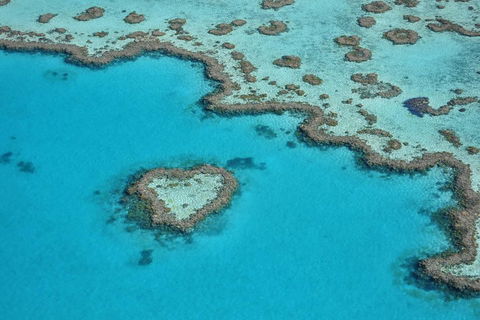 Reef And Island Scenic Flight From Airlie Beach - Restaurant Gold Coast 5