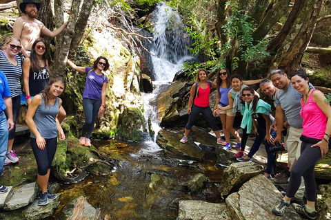 7-Day Super Value Tour Of Tasmania: Explore Tasmania's West And East Coasts - Restaurant Gold Coast 2