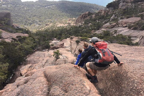 2-Day Tas East Coast Escape Tour Including Bay Of Fires, Wineglass Bay & Devils - Restaurant Gold Coast 2