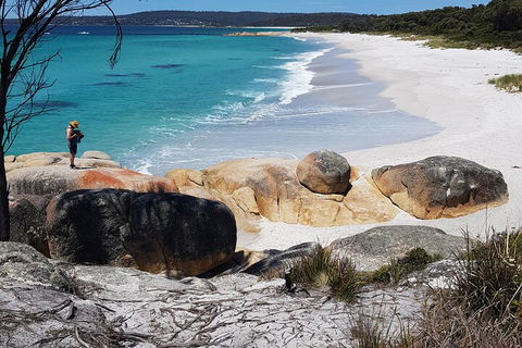 2-Day Tas East Coast Escape Tour Including Bay Of Fires, Wineglass Bay & Devils - Restaurant Gold Coast 4