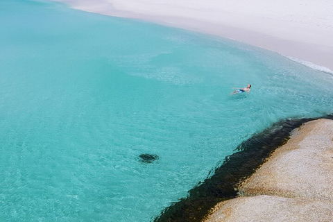 2-Day Tas East Coast Escape Tour Including Bay Of Fires, Wineglass Bay & Devils - Restaurant Gold Coast 5