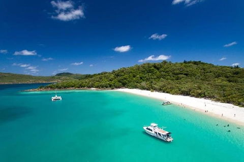 Whitehaven Beach And Hill Inlet | Awesome Beach BBQ | Family Friendly - Restaurant Gold Coast 3