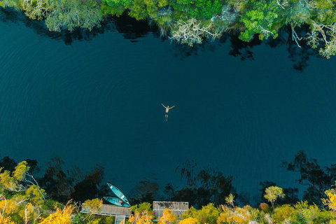 Cruise 'n' Canoe To Australia's Everglades - Restaurant Gold Coast 2