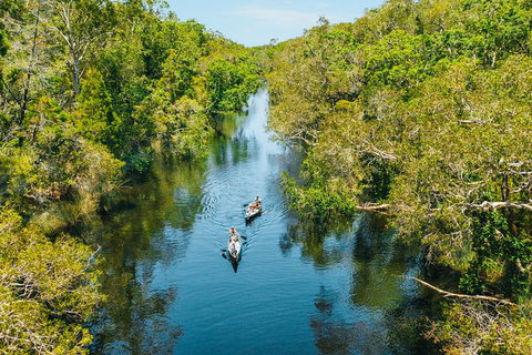 Cruise 'n' Canoe To Australia's Everglades - Restaurant Gold Coast 3