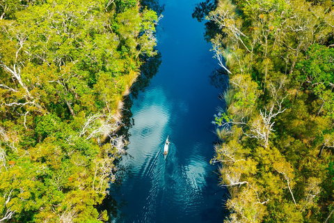Cruise 'n' Canoe To Australia's Everglades - Restaurant Gold Coast 4
