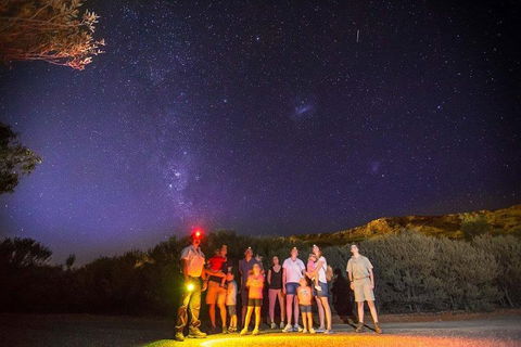 Alice Springs Desert Park Nocturnal Tour - Restaurant Gold Coast 2