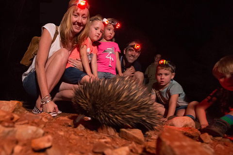 Alice Springs Desert Park Nocturnal Tour - Restaurant Gold Coast 5