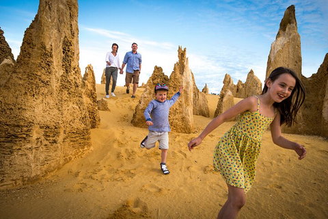 Full-Day Pinnacles Desert And Yanchep National Park Tour From Perth - Restaurant Gold Coast 0