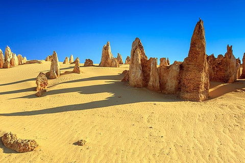 Full-Day Pinnacles Desert And Yanchep National Park Tour From Perth - Restaurant Gold Coast 2