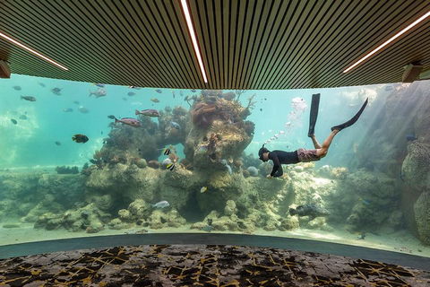 Whitehaven Beach And Daydream Island Cruise - Restaurant Gold Coast 4