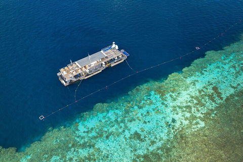 Great Barrier Reef Day Cruise To Reefworld - Restaurant Gold Coast 2