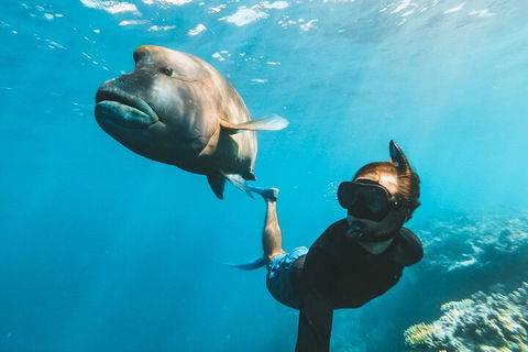 Great Barrier Reef Day Cruise To Reefworld - Restaurant Gold Coast 3