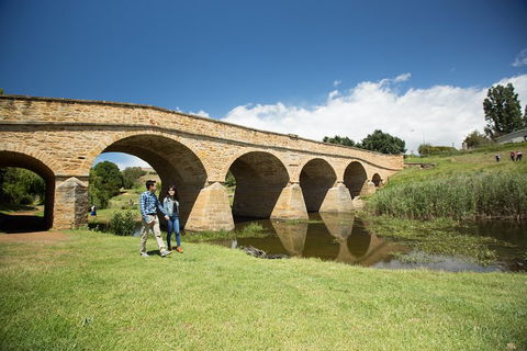 Bonorong Wildlife Park And Richmond Afternoon Tour From Hobart - Restaurant Gold Coast 2