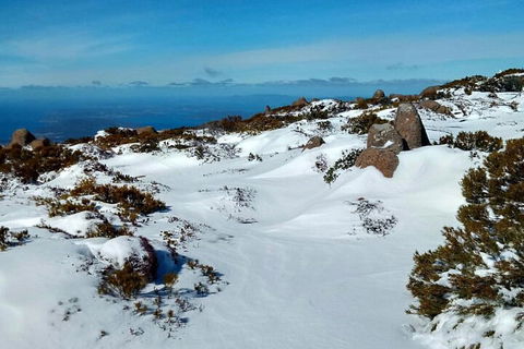 Mount Wellington Ultimate Experience Tour From Hobart - Restaurant Gold Coast 1