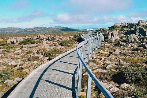 Mount Wellington Ultimate Experience Tour From Hobart - Restaurant Gold Coast 2