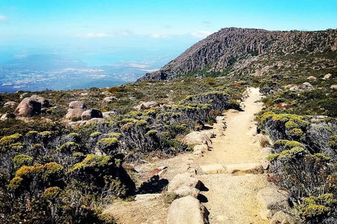 Mount Wellington Ultimate Experience Tour From Hobart - Restaurant Gold Coast 5