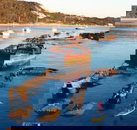 Adventure Moreton Island Wrecks Adventure Package - Restaurant Gold Coast