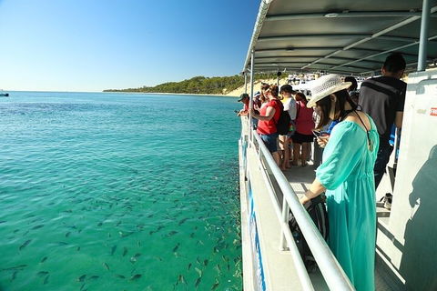 Adventure Moreton Island Wrecks Adventure Package - Restaurant Gold Coast 1