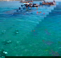 Adventure Moreton Island Scuba Dive Tour - Restaurant Gold Coast