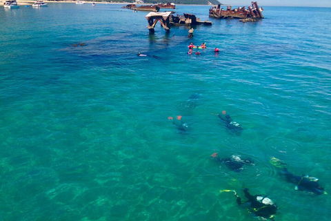 Adventure Moreton Island Scuba Dive Tour - Restaurant Gold Coast 0