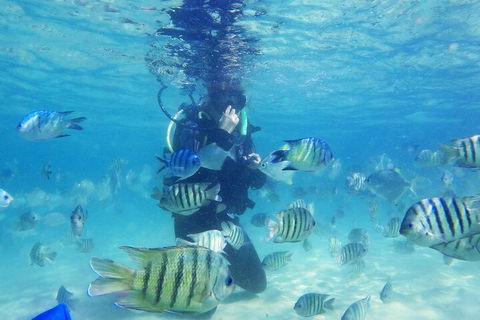 Adventure Moreton Island Scuba Dive Tour - Restaurant Gold Coast 1