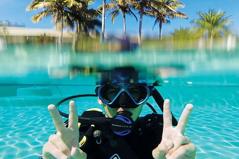 Adventure Moreton Island Scuba Dive Tour - Restaurant Gold Coast 2