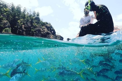 2 Night Small Group Whitsundays Sailing Adventure Aboard Mandrake - Restaurant Gold Coast 5