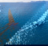 2-Night Whitsunday Islands Sailing Adventure on Trimaran Avatar - Restaurant Gold Coast