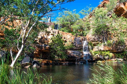 9-Day Kimberley Offroad Adventure From Broome To Darwin - Restaurant Gold Coast 4