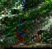 Full Day Daintree Rainforest and Mossman Gorge Tour - Restaurant Gold Coast