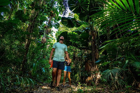 Full Day Daintree Rainforest And Mossman Gorge Tour - Restaurant Gold Coast 0