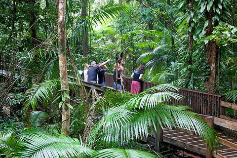 Full Day Daintree Rainforest And Mossman Gorge Tour - Restaurant Gold Coast 1