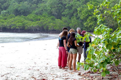 Full Day Daintree Rainforest And Mossman Gorge Tour - Restaurant Gold Coast 2