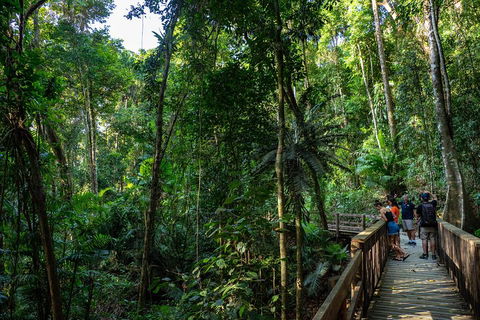 Full Day Daintree Rainforest And Mossman Gorge Tour - Restaurant Gold Coast 5