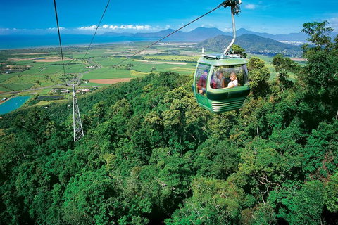 Cairns ATV Adventure Tour And Morning Skyrail - Restaurant Gold Coast 2