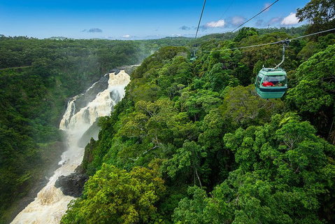 Cairns ATV Adventure Tour And Morning Skyrail - Restaurant Gold Coast 3