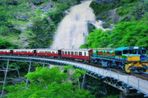 Cairns ATV Adventure Tour And Morning Train - Restaurant Gold Coast 4