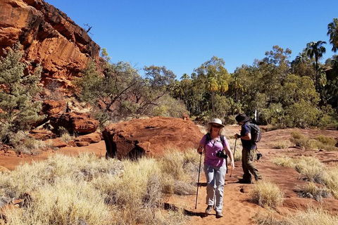 Palm Valley And Hermannsburg 1 Day 4WD Tour - Restaurant Gold Coast 1